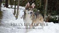 Hell's Li'l Lucifer - Winter Impressions 2025 Hell's Li'l Lucifer - Winter Impressions 2025